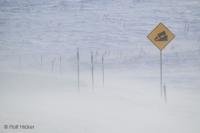 Road sign in harsh winter conditions along the James Dalton Highway in Alaska.