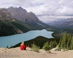 photo of peyto lake alberta