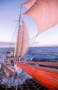photo of Sailing Ships