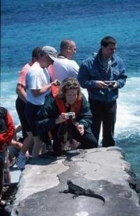 photo of People And Animal