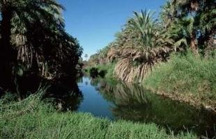 photo of Kruger National Park Picture