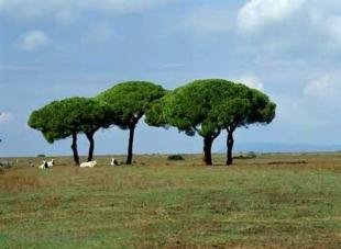 photo of Pictures Of Tuscany