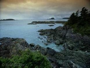 photo of Tofino Coastal Scenery