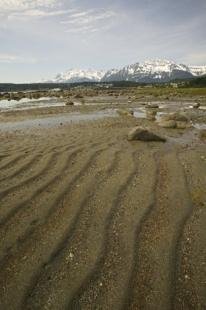 photo of beach near haines