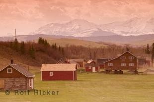 photo of alberta ranch