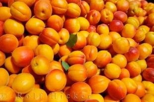 photo of Picture Of Apricots