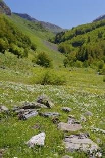 photo of Aran Valley Landscape Pyrenees Catalonia