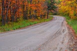 photo of Autumn Road Picture Algonquin Provincial Park