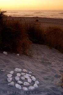 photo of Gillespies Beach Art Sunset West Coast New Zealand