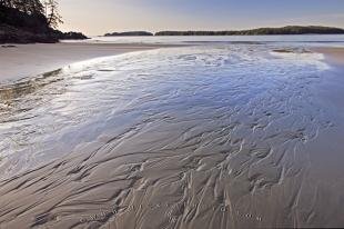 photo of Beach Sand Details Pacific Coast Scenery