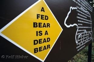 photo of Bear Signs Wells Gray Provincial Park