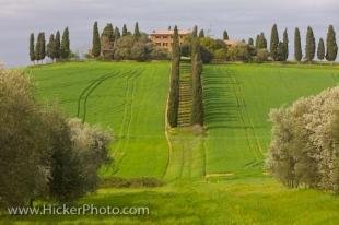 photo of Beautiful Tuscan Villa Landscape Siena Tuscany Italy