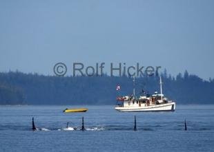 photo of Blue Fjord Charters