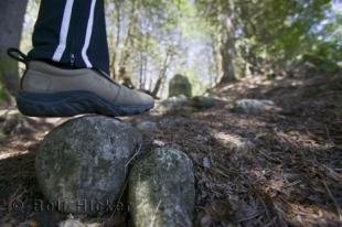 photo of bruce Trail ontario