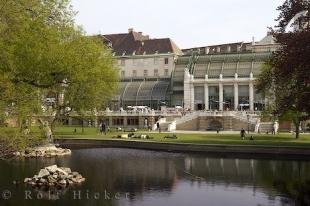 photo of Vienna Butterfly Cafe