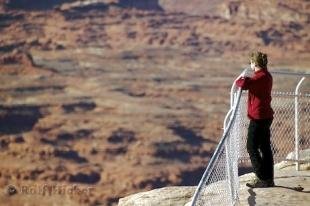 photo of Canyonlands View