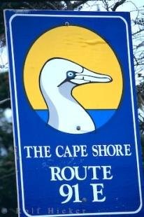 photo of Cape Shore Road Sign Newfoundland