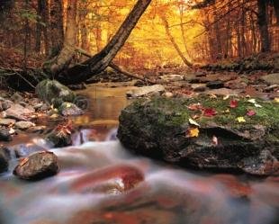 photo of Autumn Pictures