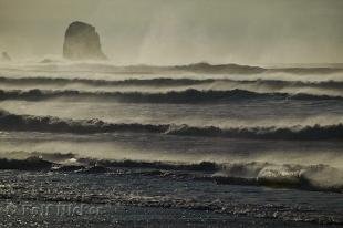 photo of cape kiwanda