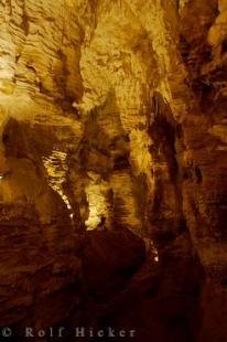 photo of Aranui Cave Pics New Zealand