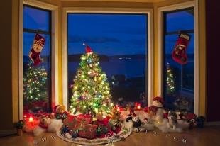 photo of Christmas Stockings Tree Scene