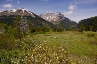 photo of Waterton Lakes Canadian Rocky Mountains Southern Alberta