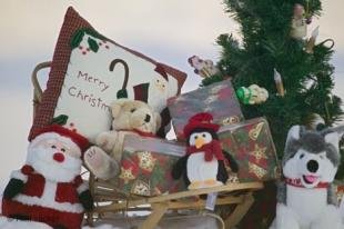 photo of Christmas Picture