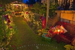 photo of Christmas Season New Zealand