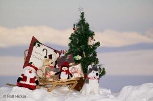 photo of Christmas Card
