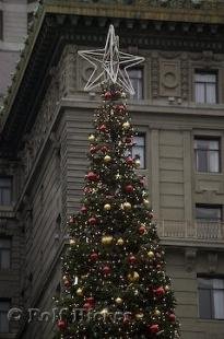 photo of Christmas Tree Star