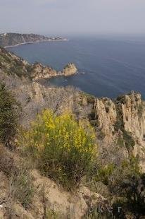 photo of Costa Brava Shoreline Catalonia