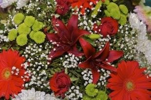 photo of Cours Saleya Flower Market