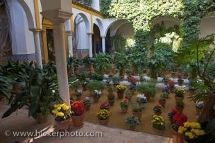 photo of Courtyard Gardens Santa Cruz Sevilla Spain