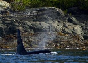 photo of CRW 0130