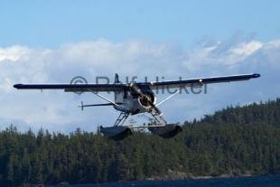 photo of CRW 0260