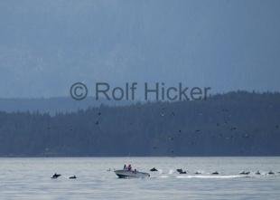 photo of CRW 0343