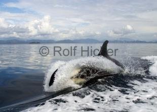 photo of CRW 0380