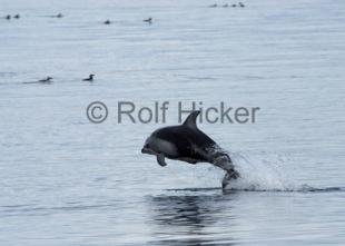 photo of CRW 0385