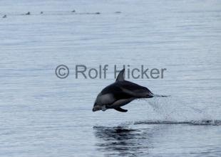 photo of CRW 0388