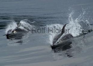 photo of CRW 0396