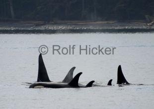 photo of CRW 0463