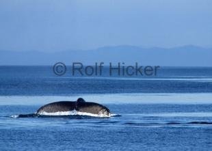 photo of CRW 0545
