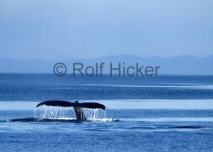 photo of CRW 0546