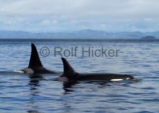 photo of CRW 0564