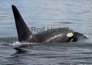 photo of CRW 0576