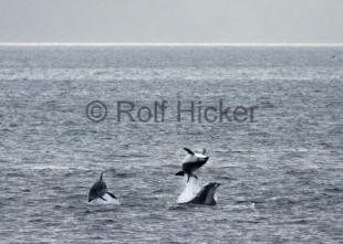 photo of CRW 0706