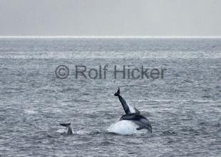 photo of CRW 0707