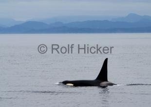 photo of CRW 0720