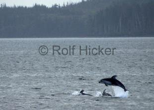 photo of CRW 0728