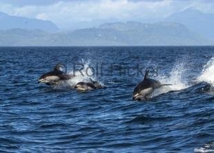 photo of CRW 0859